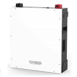 Dyness 4.8KWH Battery A48100