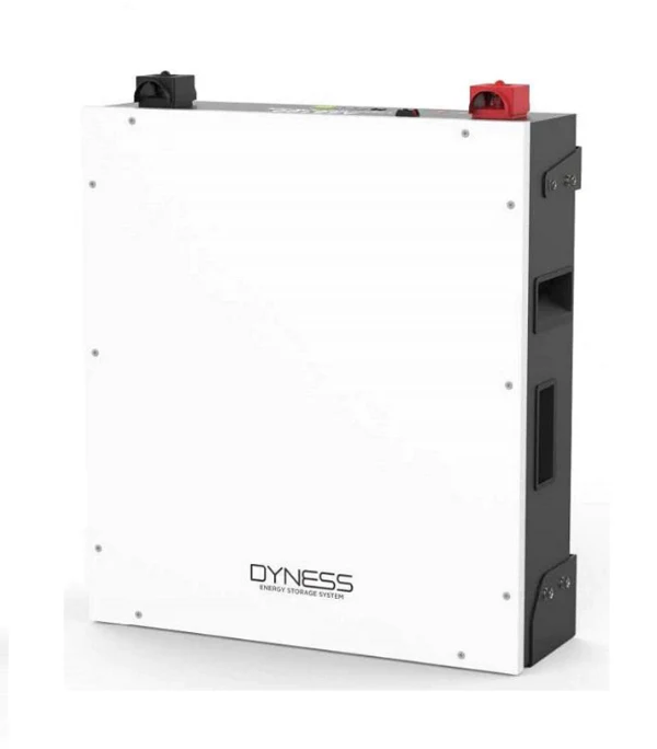 Dyness 4.8KWH Battery A48100